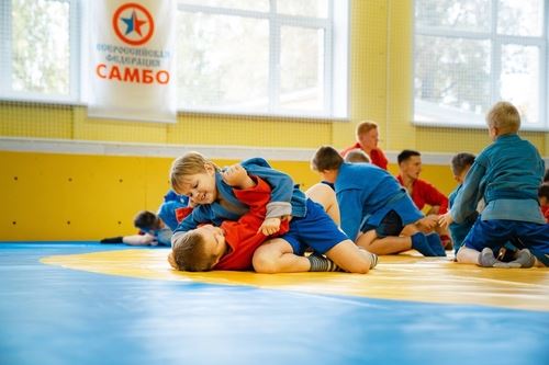 
<p>                                Три школы Ярославской области подключились к проекту «Самбо в школу»</p>
<p>                        